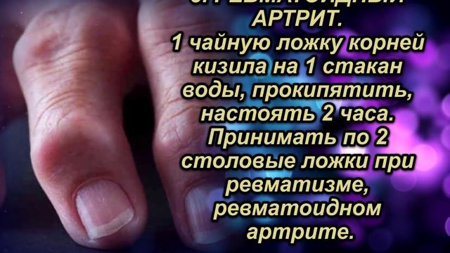 Семь ягод кизила спасут ноги от вздутия Вен и Отечности, если съедать их вместе... смотреть онлайн