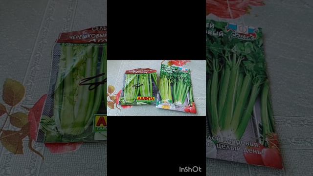 Посев сельдерея на рассаду. Sowing celery for seedling#сельдерей#рассада#посев#sowing# смотреть онлайн