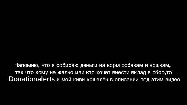 10 ДЕНЬ СБОРА СРЕДСТВ НА КОРМ ЖИВОТНЫМ