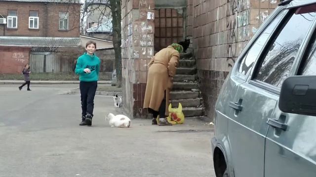 Пран скоко время та ЕТО всеровно не пралевно смотреть онлайн