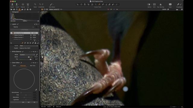 Capture One Magic Brush: Complex Color Correction смотреть онлайн
