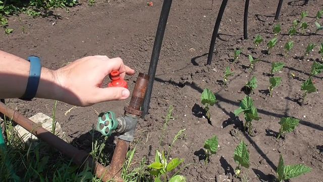 Как подключить новый садовый шланг? Шланг КУРС 76331 смотреть онлайн