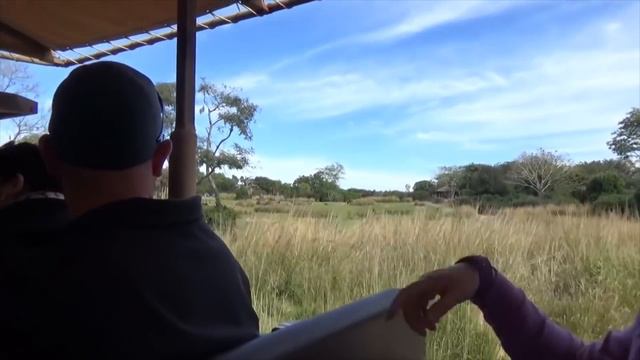 Best Disney Animal Kingdom Rides! MUST Use Your FastPass in 2019! TOP 5 Animal Kingdom RIDES! смотреть онлайн