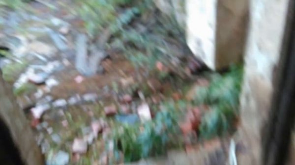 Запретная зона/ Волошский целлюлозный завод №5/ Коношский район/  Siberian Command Base