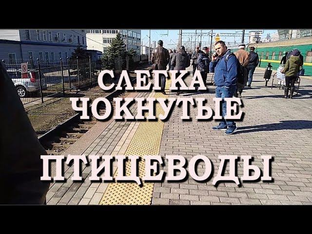 НЕВЕРОЯТНАЯ ПОЕЗДКА УКРАИНЦЕВ ))) ПО РОССИИ | Вывезли тайком яйца из Украины смотреть онлайн