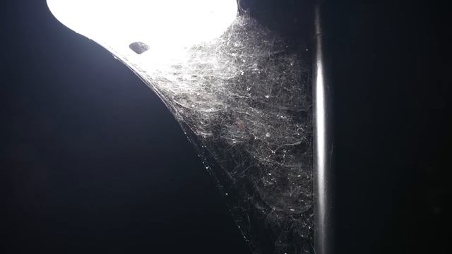 We Stayed In The Future Rock Star Suite At Universal Orlando's Hard Rock Hotel! | Tour, Pool & More смотреть онлайн