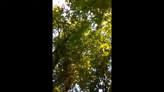 Абу Муса - Там тоже текут реки, но... смотреть онлайн
