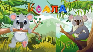 Коала. Почемучка. Детская энциклопедия.