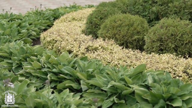 Иван Крупко возглавил делегацию Гомельской области на Х Форуме регионов Беларуси и России в Уфе смотреть онлайн