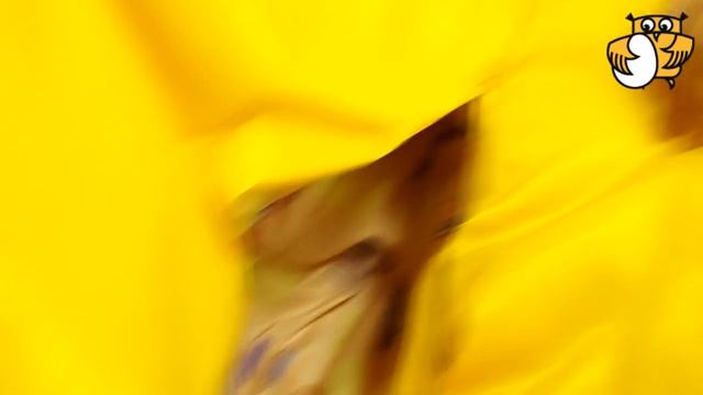 Почему дети любят яйцо совы? (Новости компании "Сова-Нянька") смотреть онлайн