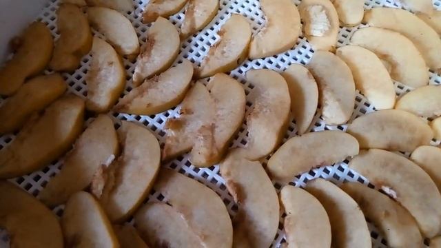 Какие фрукты легко высушить? смотреть онлайн