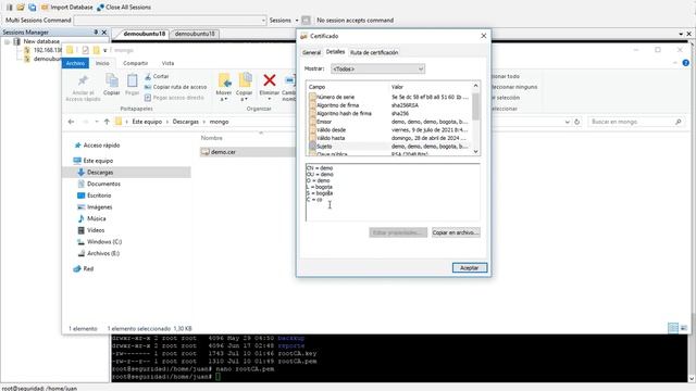 MONGO DB AUTENTICACIÓN CERTIFICADO TLS смотреть онлайн