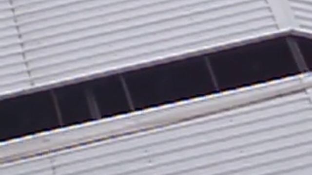 Хасидки-невесты ущемляют украинцев! смотреть онлайн