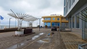 #Сочи #Адлер что цветёт в феврале #Море