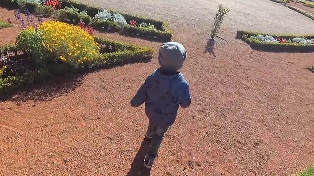 Парк Кадриорг || Прогулки по Таллину || смотреть онлайн