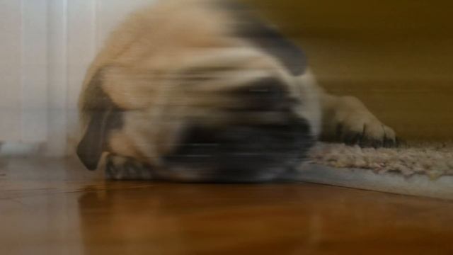 Рецепты праздничных напитков безалкогольных