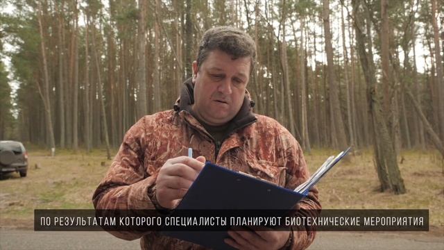 18 сентября - Всероссийский день работников леса смотреть онлайн