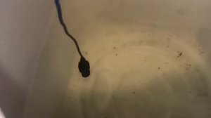 Система автоматического управления дренажным насосом. Принцип работы. Комплектующие.