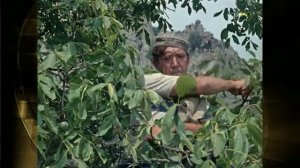 Аида Ведищева - Песенка о медведях