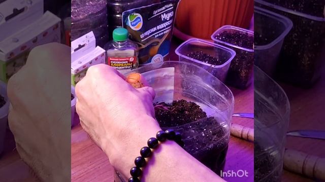 авокадо ч.1 смотреть онлайн