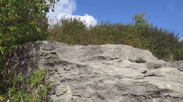 Наша местная природа и срач после людей 452 видео . смотреть онлайн
