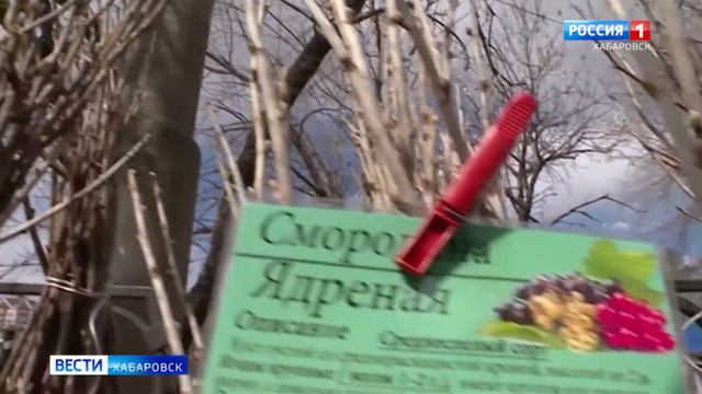 Садовые новинки смотреть онлайн