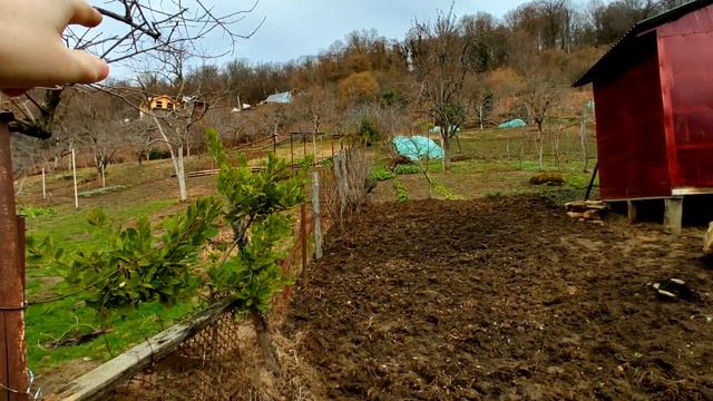 Участки в Сочи от 2млн. В. Николаевское. с видом на море! смотреть онлайн