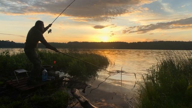 Ловля ЛЕЩа летом. ФИДЕРная РЫБАЛКА на озере. смотреть онлайн