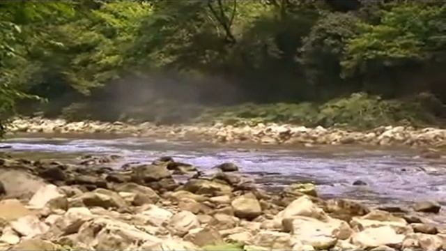 Тисо-Самшитовая роща.Прогулка по маршруту Большое кольцо_СОЧИ.mp4 смотреть онлайн