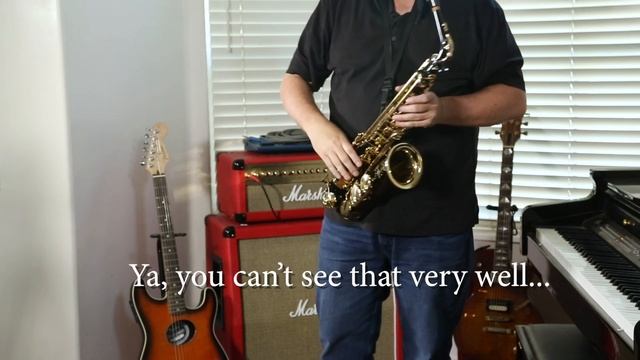 Selmer Super Action 80 series 2 alto sax– Grind My Gear! смотреть онлайн