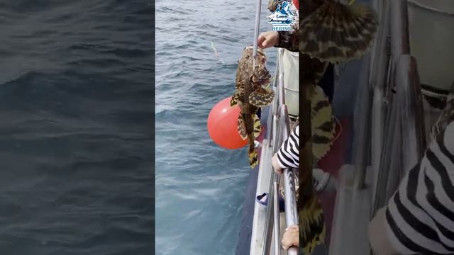 Рыбалка Камчатка Fishing Kamchatka смотреть онлайн