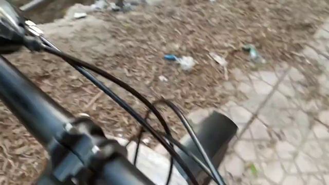 phoenix mountain bike 2026 смотреть онлайн