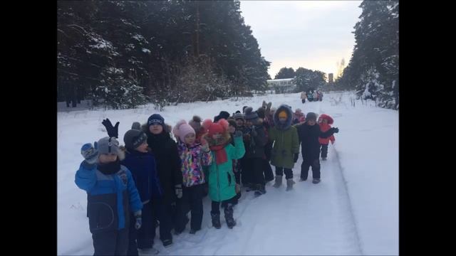 Старшая группа 