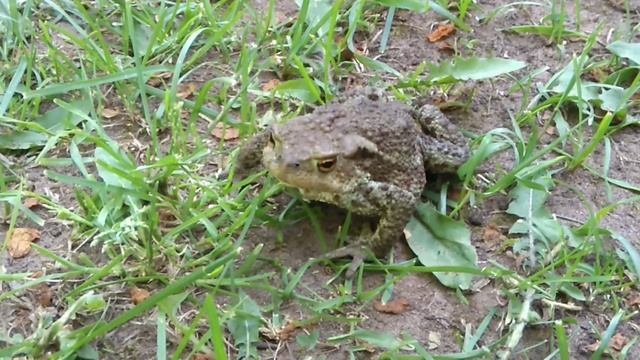 Не надо... смотреть онлайн