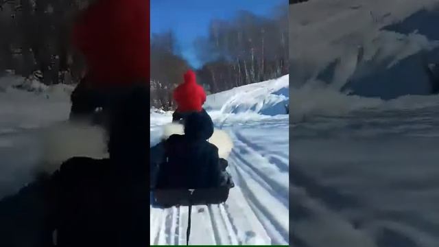 Мотособака барс следопыт. смотреть онлайн