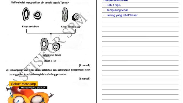E-CLASS TEKNIK MENJAWAB BAHAGIAN C (SAINS SPM 2023/24 KSSM) смотреть онлайн