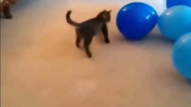 не обычная концовка #shorts