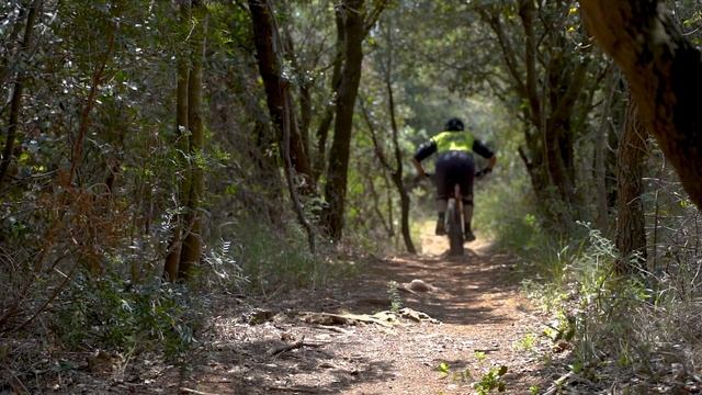 Primo TEST: GIANT TRANCE X E+ ELITE (come si evolverà il mercato??) смотреть онлайн