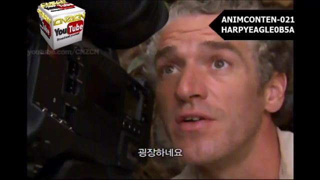 harpy eagle eats monkey смотреть онлайн