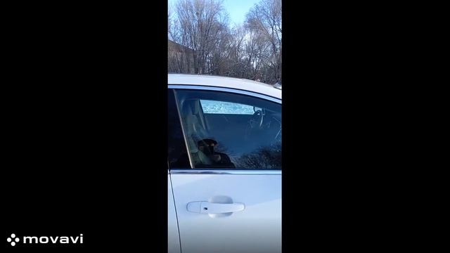 Авто-противостояние: битва за лидерство