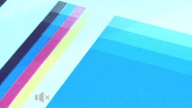 Stable printing BIGINK SK1020 on SEIKO SPT 1020 / Стабильная печать BIGINK SK1020 на SEIKO SPT 1020 смотреть онлайн