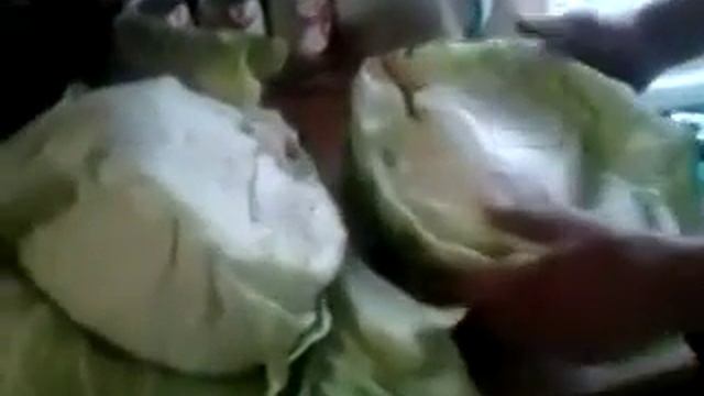 прикол капуста-мутант капуста на зиму,на рождество смотреть онлайн