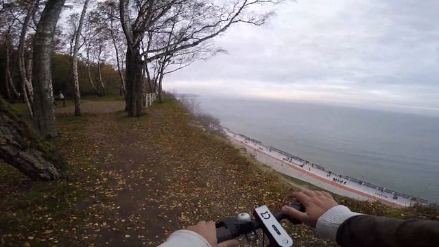 Выгнали с частной территории в Светлогорске. На самокате Xiaomi смотреть онлайн