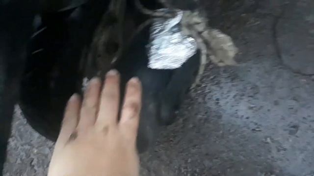 ГОТОВЛЮ Еду на Глушителе Скутера! Бутерброд на глушителе! Проверка лайфхака honda dio af 34. смотреть онлайн