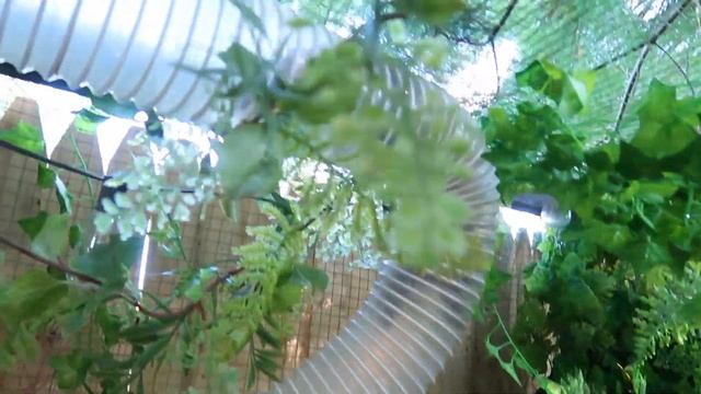 FERRETS React To Their New OUTDOOR ENCLOSURE смотреть онлайн