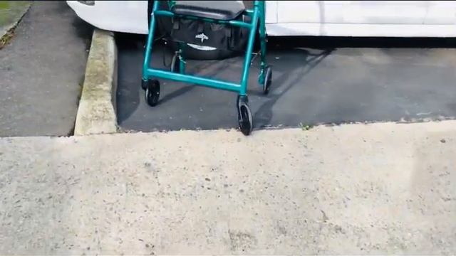 Макаронное Дерево Слоновьи Уши..Вид из Конца.. смотреть онлайн
