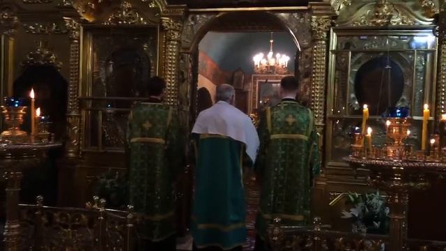 12.04.2020 Божественная Литургия. Вход Господень в Иерусалим. Неделя 6-я, ваий, Вербное воскресенье смотреть онлайн