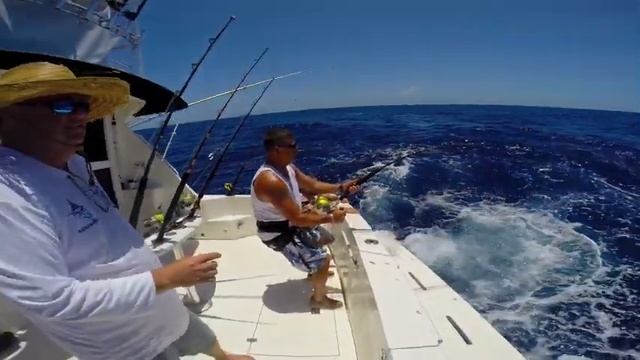 Full Circle Game Fish Team - 2014 Bahamas Tour смотреть онлайн