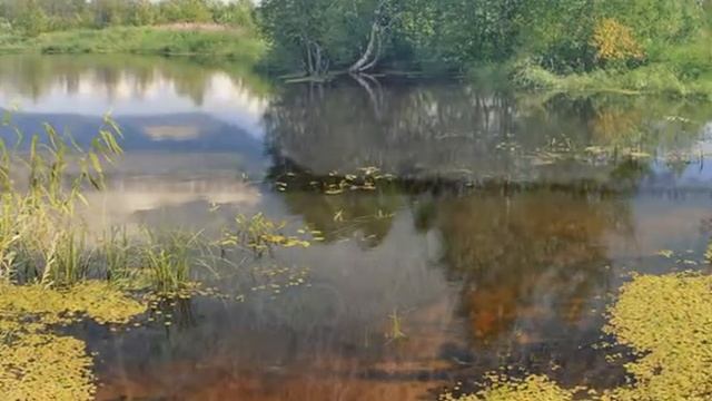 ЗОВУЩЕЕ НАЧАЛО (про мою малую Родину) смотреть онлайн