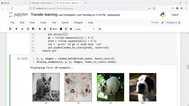 Classification With TensorFlow Transfer Learning MobileNetV2 | Python | TensorFlow смотреть онлайн